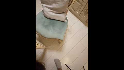 Media: gerda_and_kai Bongacams 2024-11-11 01:10:00
