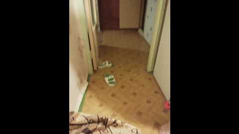 Media: kittycolorfull Bongacams 2024-11-11 21:34:00