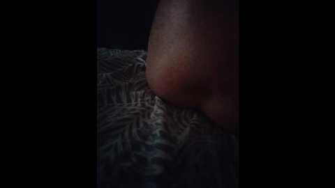 parr071 @ bongacams on 20241112