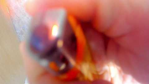 crazy_love2 @ bongacams on 20241113