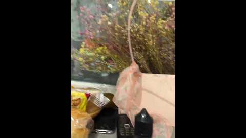 Media: donordi Bongacams 2024-11-15 18:48:00