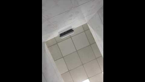 Media: _a_l_i_c_e_ Bongacams 2024-11-16 14:33:00