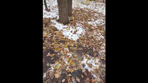 Media: masya1996 Bongacams 2024-11-16 11:26:00