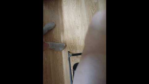 Media: pechalka Bongacams 2024-11-19 18:27:00