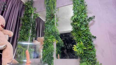 Media: diamondjo Bongacams 2024-11-22 03:27:00