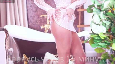 Media: stella888 Bongacams 2024-11-22 11:30:00