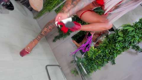 Media: diamondjo Bongacams 2024-11-23 00:19:00