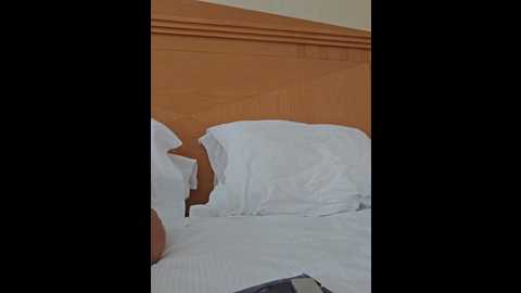 Media: mr_and_mrs_smith_xxl Bongacams 2024-11-23 05:52:00