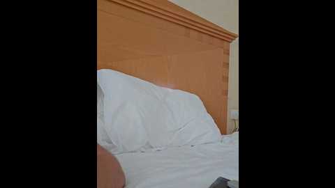 Media: mr_and_mrs_smith_xxl Bongacams 2024-11-23 06:31:00