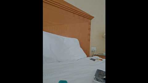 Media: mr_and_mrs_smith_xxl Bongacams 2024-11-23 07:44:00