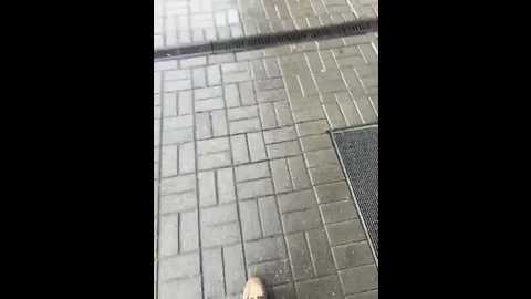 Media: lissazmark2 Bongacams 2024-11-24 09:41:00