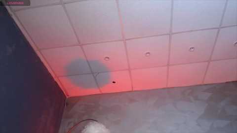 Media: oksanaocean Bongacams 2024-11-27 09:12:00