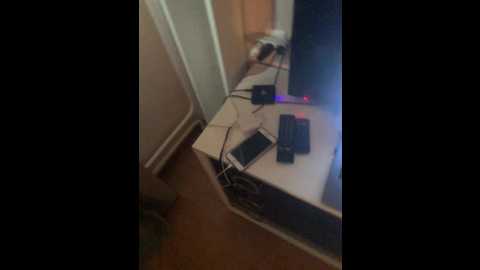 Media: nimfomas03 Bongacams 2024-11-28 08:06:00