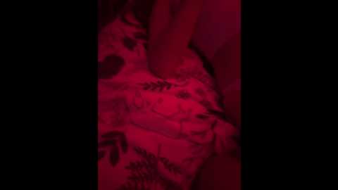 Media: carolina_dimonpro Bongacams 2024-11-29 08:52:00
