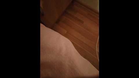 Media: sofyaart Bongacams 2024-12-01 18:41:00