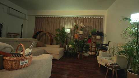 Media: heybanana Bongacams 2025-05-28 16:27:00