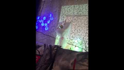 Media: aureliyxxx Bongacams 2025-05-29 06:58:00