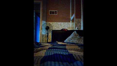 vit_kat1 @ bongacams on 20250529