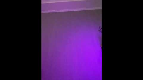 damilui @ bongacams on 20250530