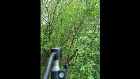Media: hotpepper_sweetpepper Bongacams 2025-05-30 11:17:00