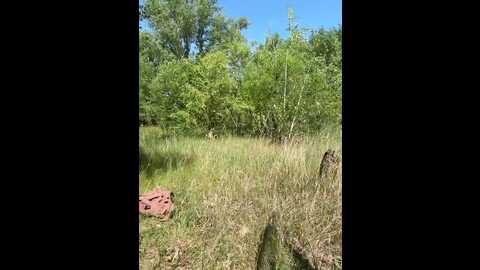 Media: kisa_gav Bongacams 2025-05-31 07:05:00