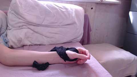 dvabomja @ bongacams on 20250601
