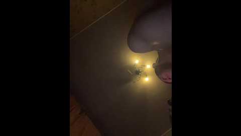 trulalalameow @ bongacams on 20250601