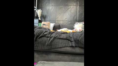 vero19nika @ bongacams on 20250601