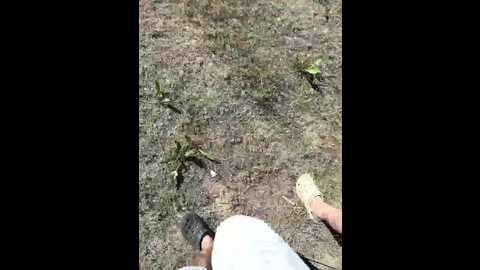 Media: rustycouple Bongacams 2025-06-03 08:59:00