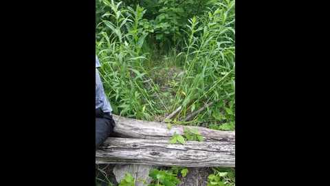 Media: hotpepper_sweetpepper Bongacams 2025-06-04 15:03:00