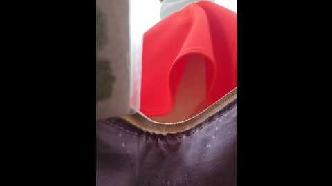 editamilf @ bongacams on 20250605