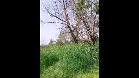 hot_couple_2 @ bongacams on 20250606