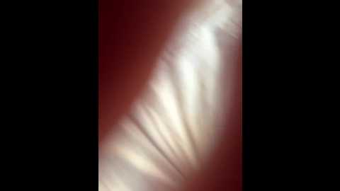 millemimi @ bongacams on 20250606