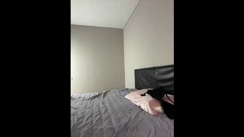 moinik @ bongacams on 20250606