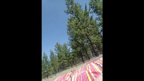 murkalux @ bongacams on 20250606