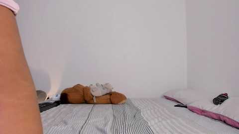 brahim97 @ bongacams on 20250607