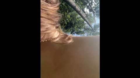 ledi1 @ bongacams on 20250607