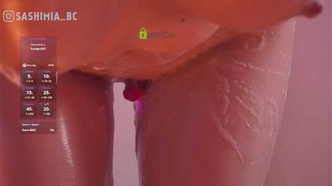 sashimia @ bongacams on 20250607