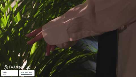 taanni @ bongacams on 20250609