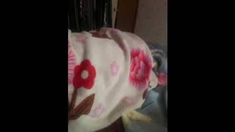 Media: arcgroza Bongacams 2025-06-13 03:01:00