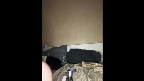 cellka @ bongacams on 20250613