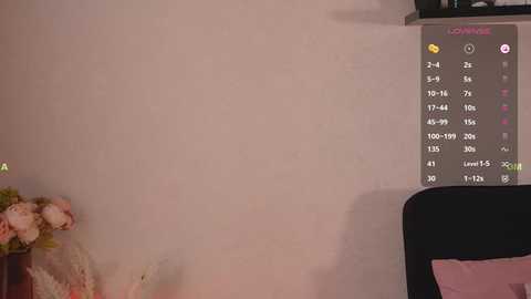 cockisa @ bongacams on 20250613