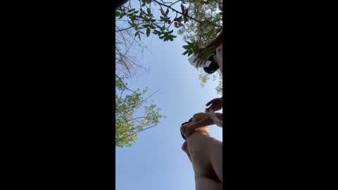 lallyrose @ bongacams on 20250613