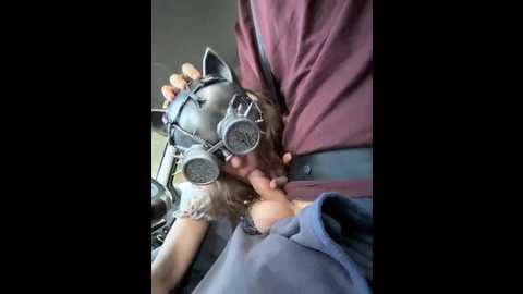 dvabomja @ bongacams on 20250614