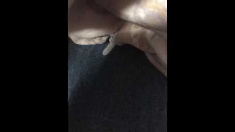 tmesleg01 @ bongacams on 20250615