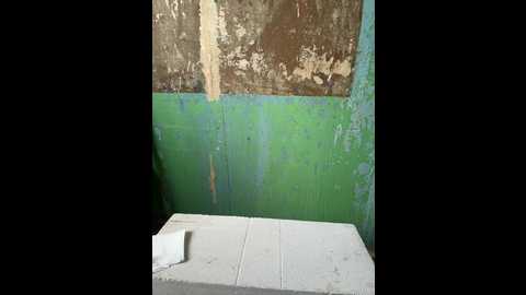 daddysgirl9 @ bongacams on 20250616