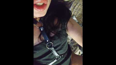 divona @ bongacams on 20250616