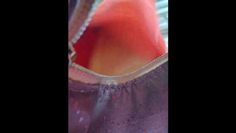 editamilf @ bongacams on 20250616