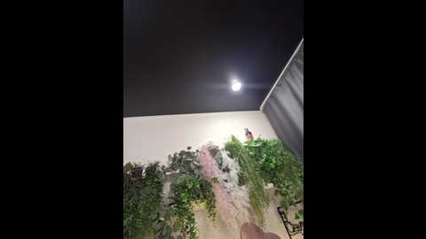 milokris @ bongacams on 20250616