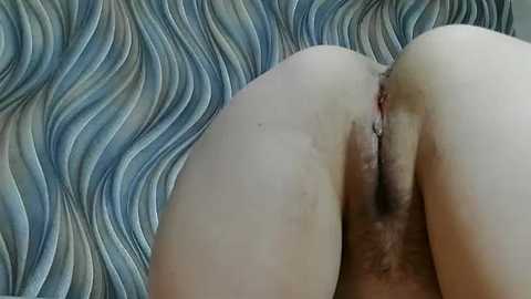 rosfair @ bongacams on 20250616